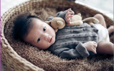Los 5 Mejores Peines para Bebés